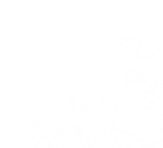 Gladia by the Waters