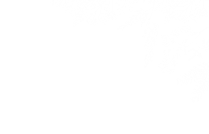 Gladia by the Waters